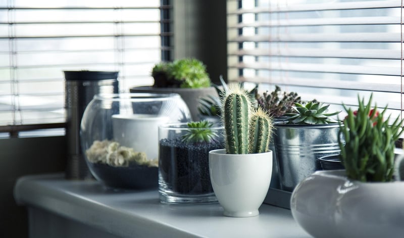 Hanging Herb Garden